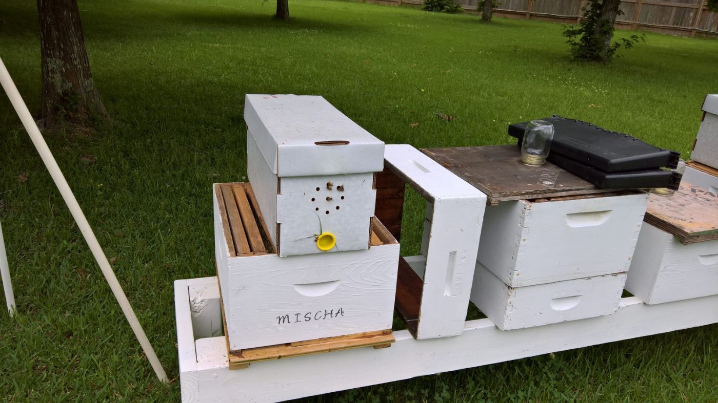 Early nuc boxes in the yard