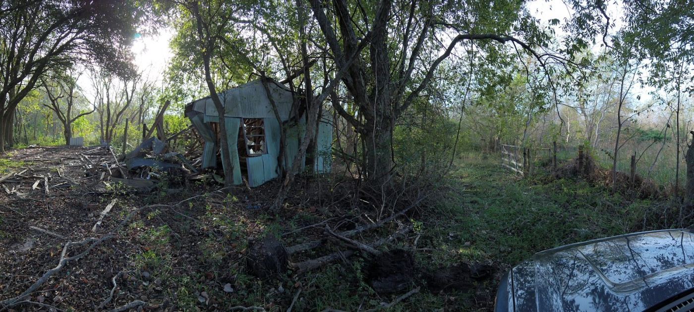 Panorama of the Gramps Bees yard