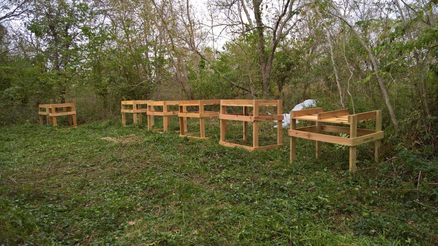 Established bee yard wide view