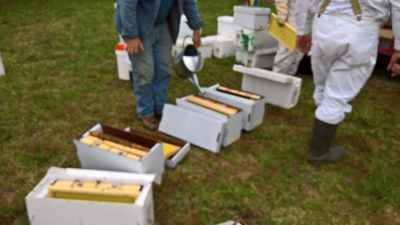 Beekeeping education day with open frames