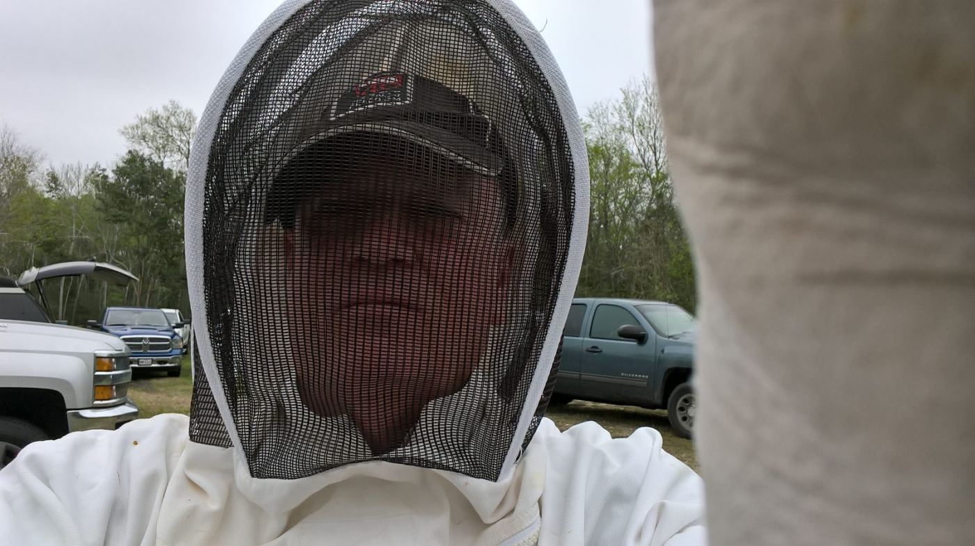 Brood frame covered with bees