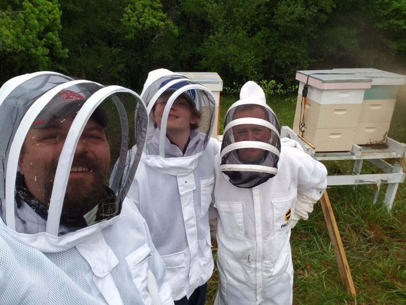 Spring morning in the bee yard